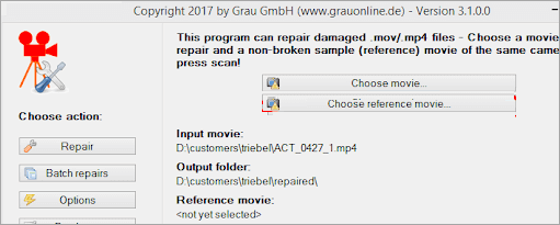 Graugamb video repair tool