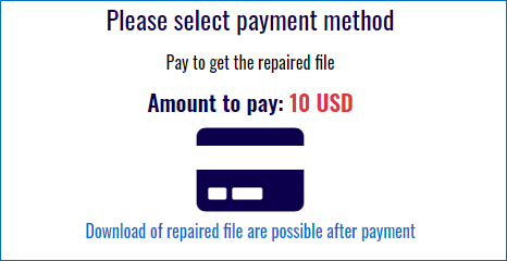 recoverytoolbox payment interface