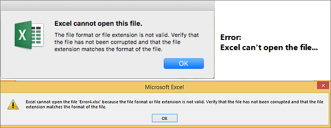 excel cannot open the file