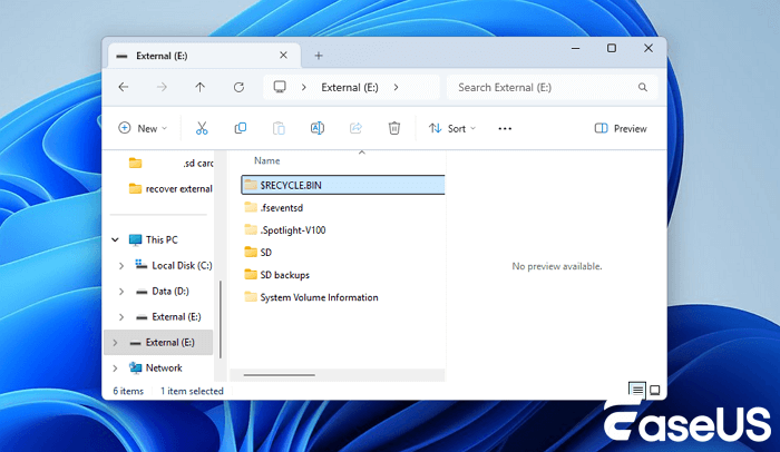 $RECYCLE.BIN mappa a külső merevlemezen