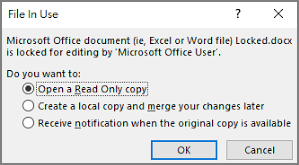 excel file is locked for editing by me