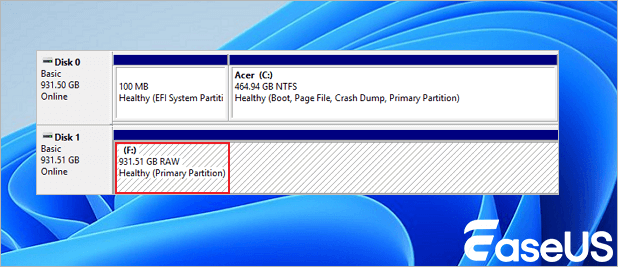 External hard disk shows as RAW