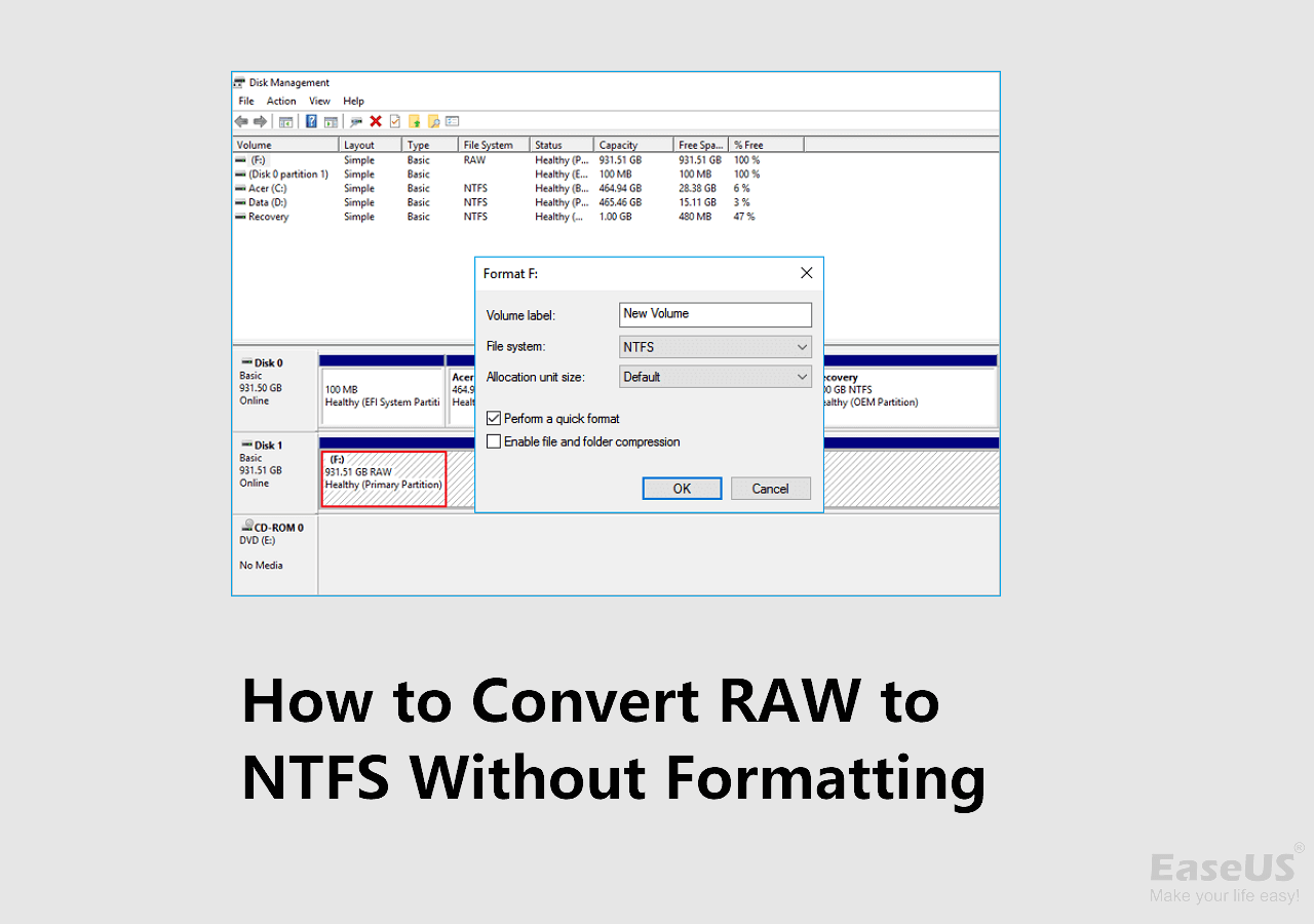 Convert Raw To Ntfs Without Formatting No Data Loss