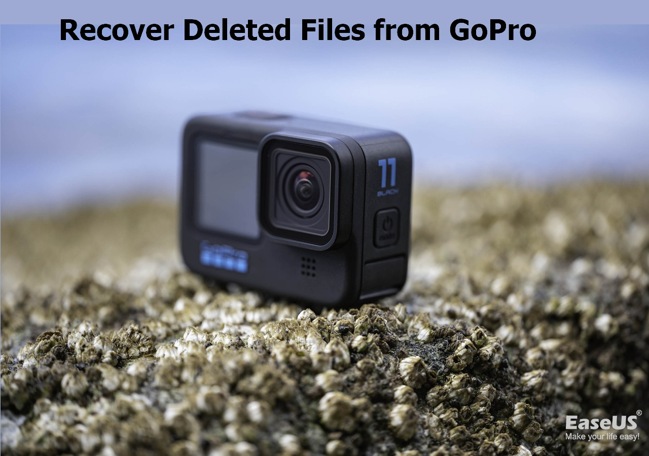 Recover Deleted Files from GoPro [Files and Videos] -EaseUS