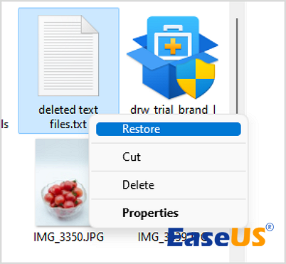 przywróć usunięte pliki tekstowe