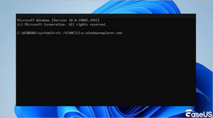 Plik windowsexplorer.exe