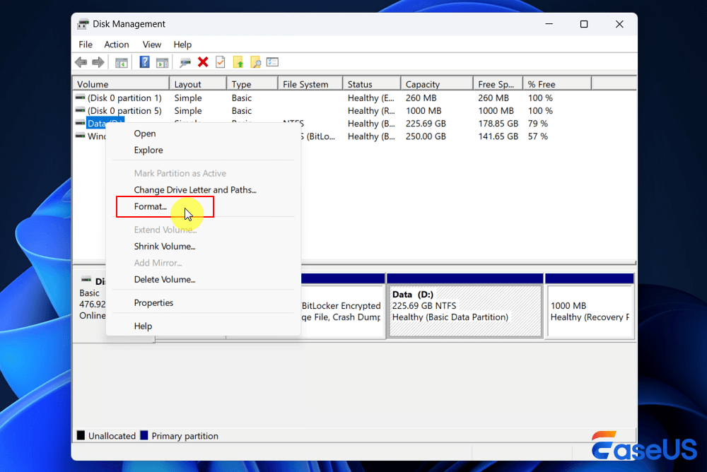 format a disk in Disk Management