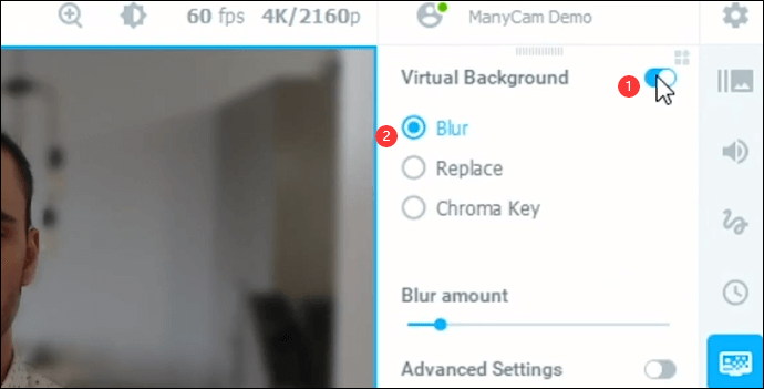 manycam virtual camera