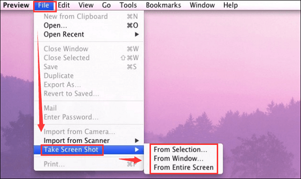 8 Solutions: Fix Screenshot on Mac Not Working Now - EaseUS