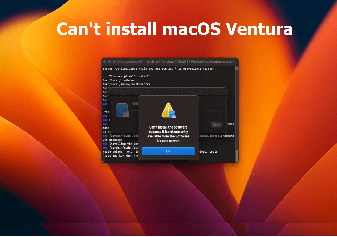 mac os ventura safari not working