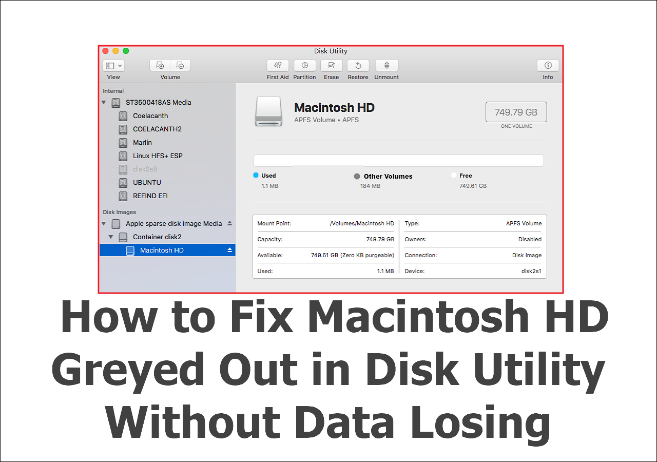 [Solved] Fix Macintosh HD Greyed Out in Disk Utility in 4 Ways EaseUS