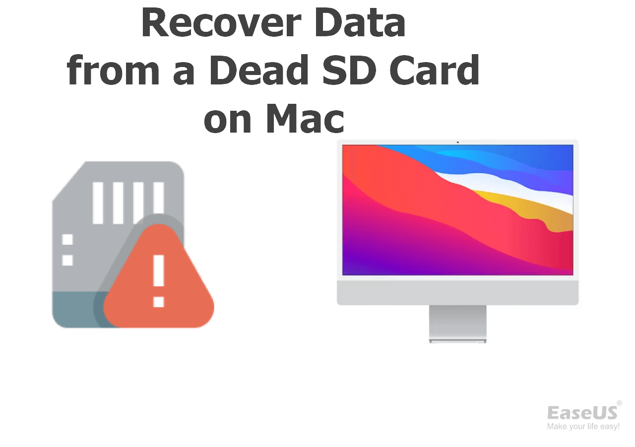 How To Recover Data From A Dead SD Card On Mac 2023 EaseUS