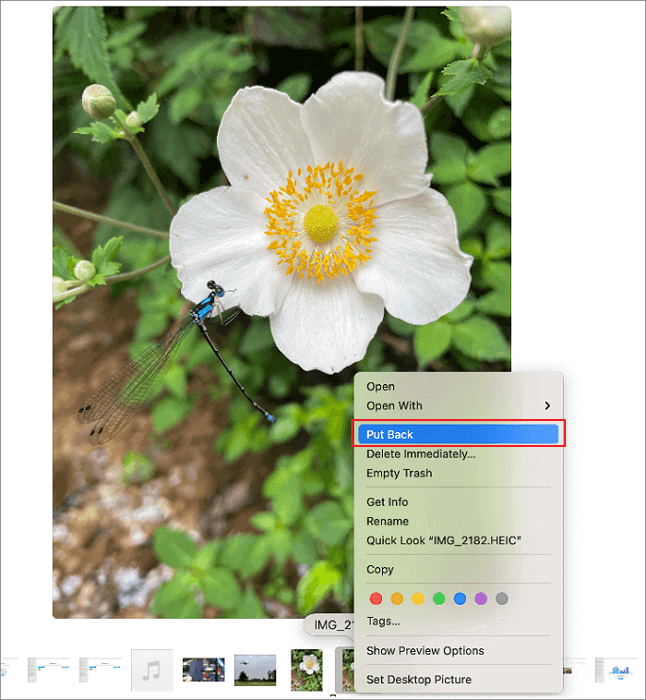 Recover deleted files from trash mac free pdf Recover deleted files from trash mac free pdf