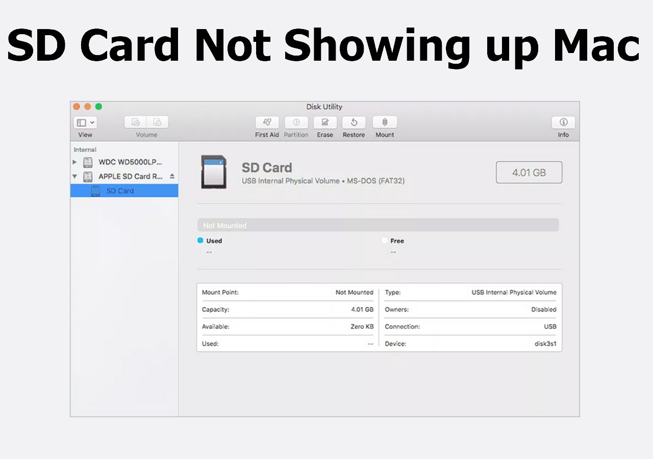 SD Card Not Showing Up Mac? 9 Possible Methods EaseUS