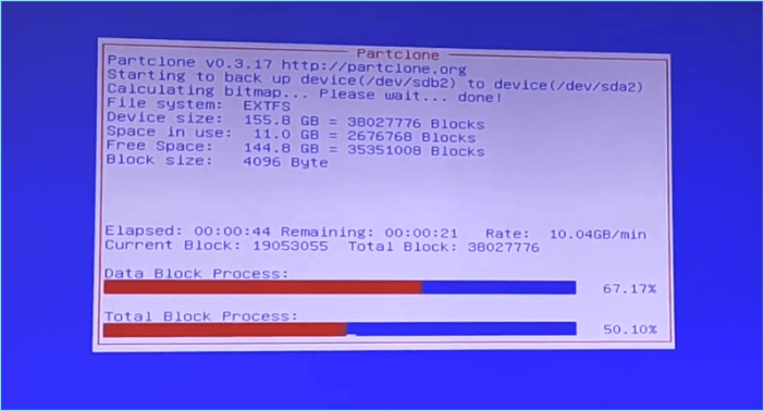 processo de clonagem