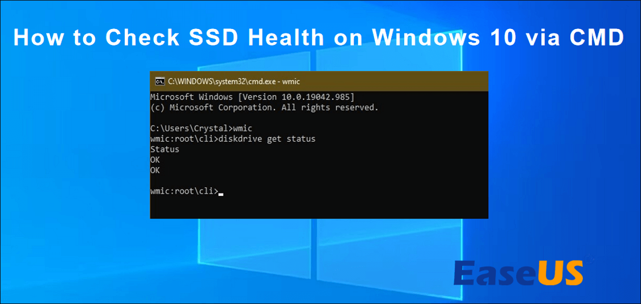 argument Marty Fielding tæppe How to Check SSD Health on Windows 10 via CMD [Step-by-Step Guide] - EaseUS