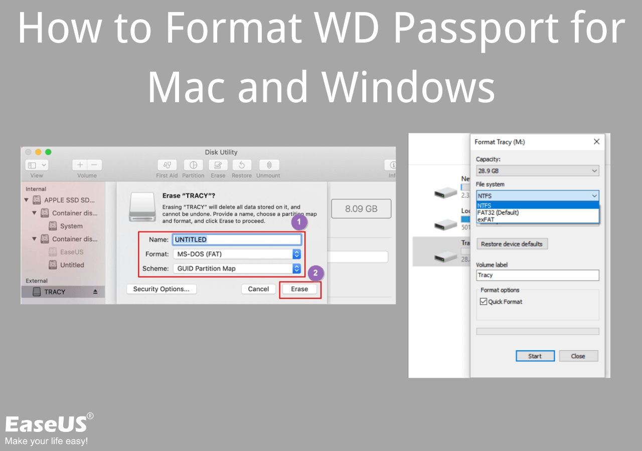 How to Format WD Passport for Mac and PC [Format My Passport for