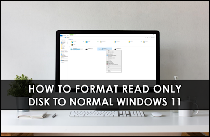 cara memformat disk read-only ke windows 11 normal