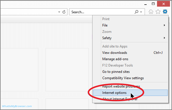 explorador de internet 1