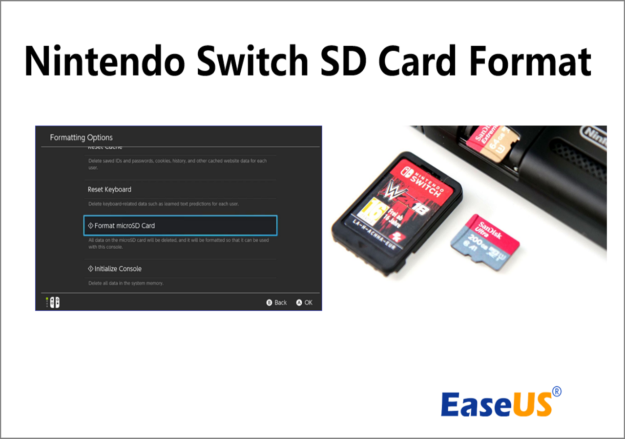 What Is the Best Nintendo Switch SD Card Format How to Format [2023 Best Ways]