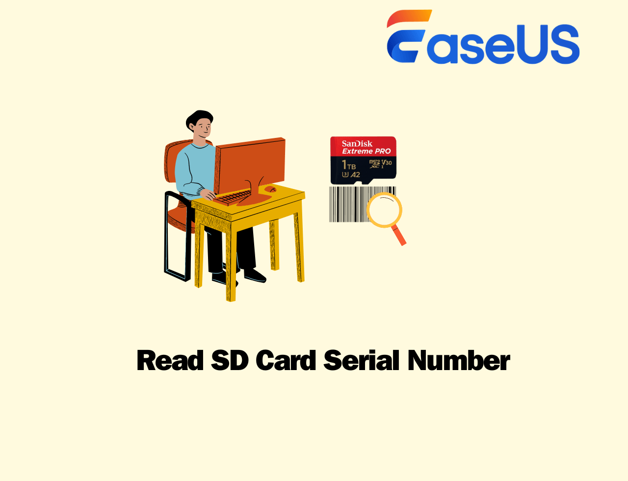 How to Read SD card Serial Number in Windows