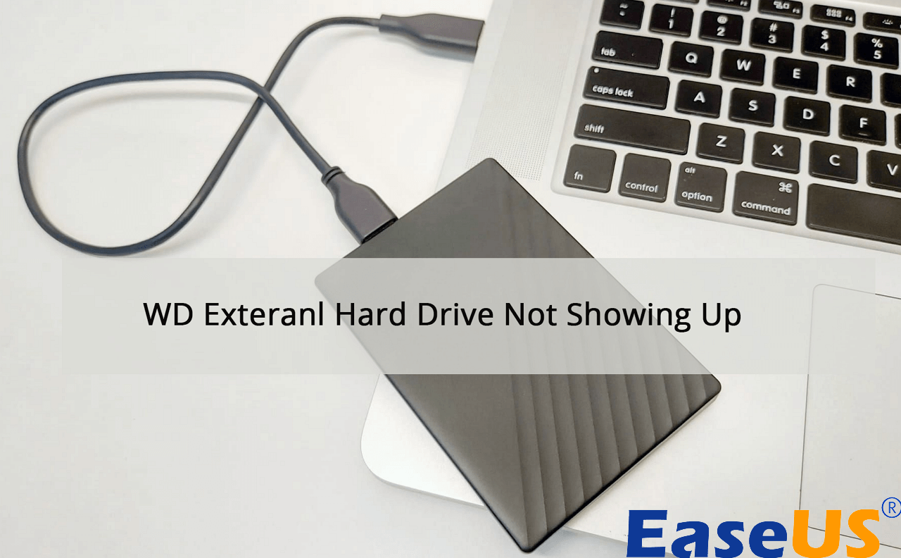 frustrerende mock måske Fix WD External Hard Drive Not Showing Up/Recognized Error [Full Solutions]  – EaseUS