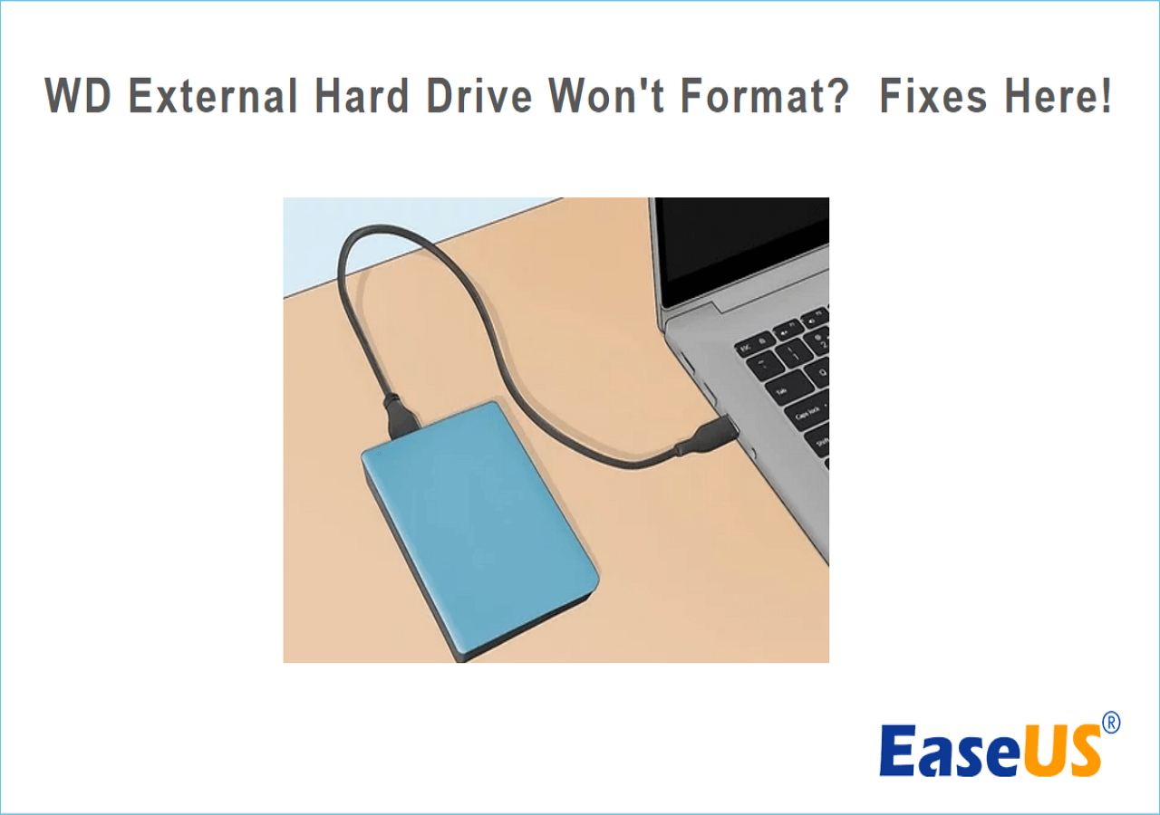 WD External Hard Drive Won't Format? [Reasons & Fixes]