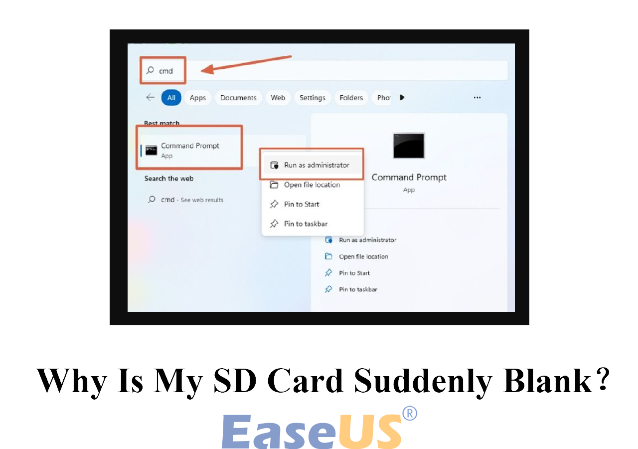 Why Is My SD Card Suddenly Blank [Full Reasons & Fixes]