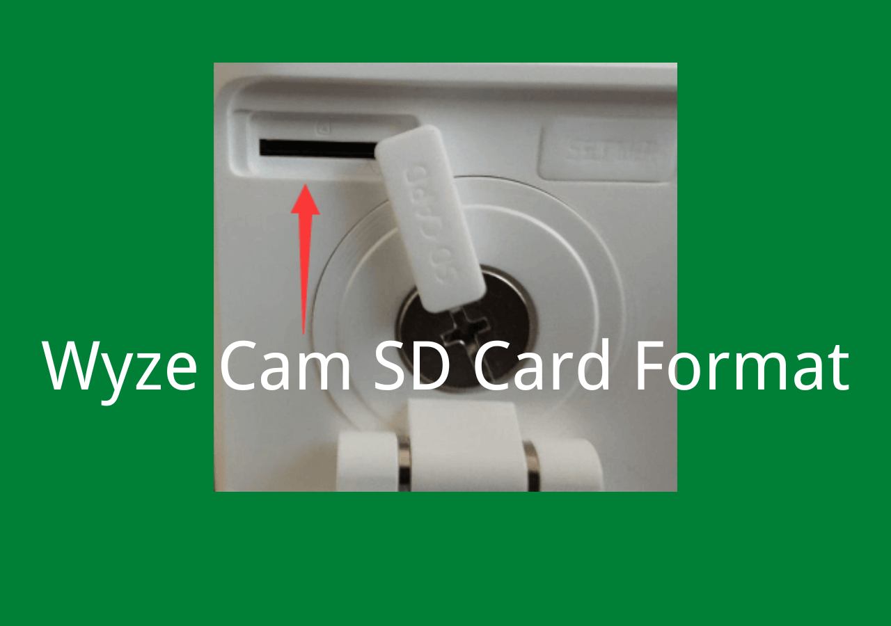 Shrug shoulders Savvy Surgery Wyze Cam SD Card Format Guide] Need to Format SD Card for Wyze Cam? - EaseUS