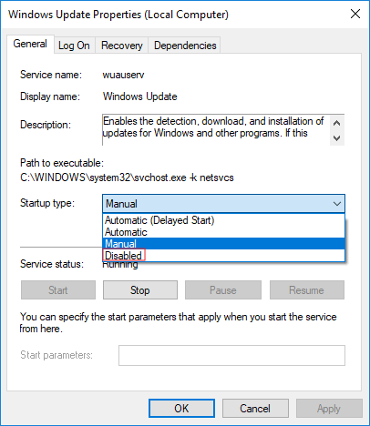 disable the windows update service