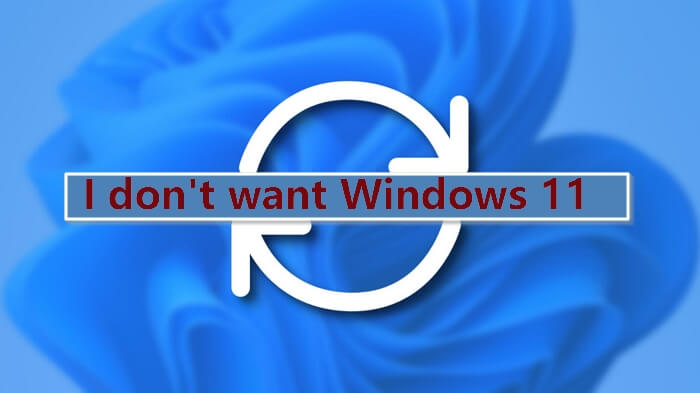 Want to download Windows 11? Don't be so hasty…