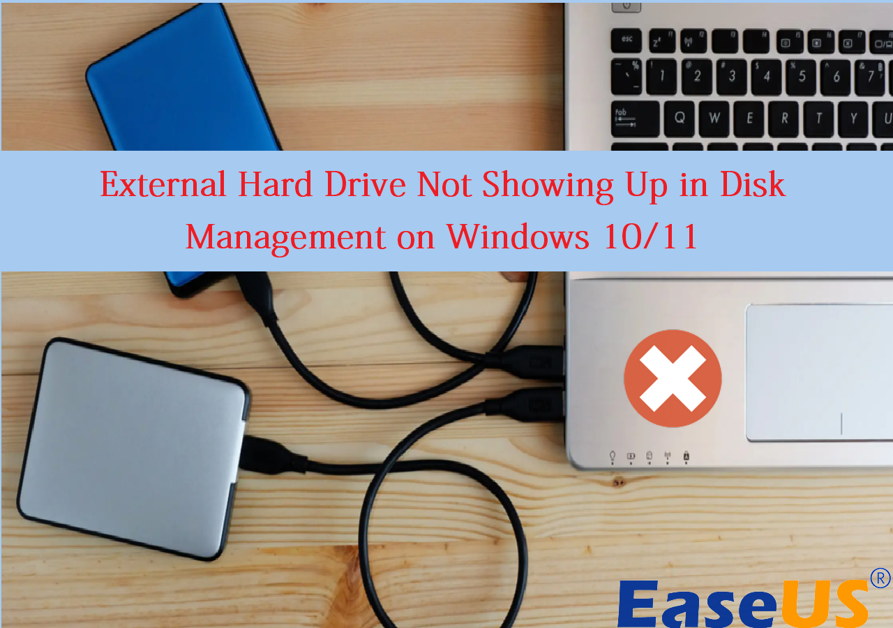 Gentleman ukrudtsplante Fritagelse External Hard Drive Not Showing Up in Disk Management on Windows 10/11 -  EaseUS