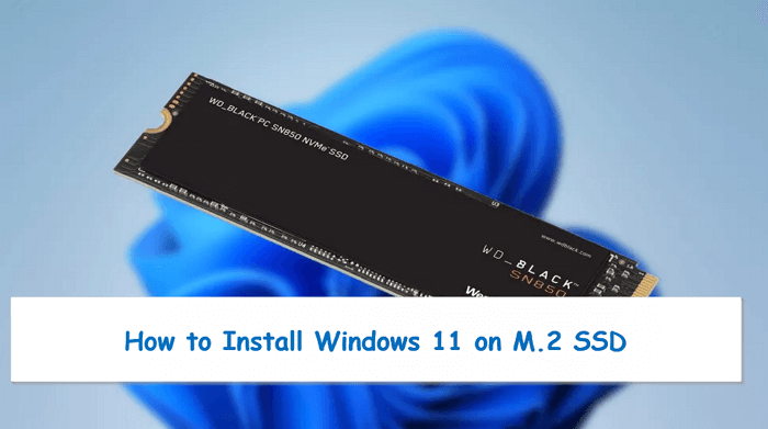 Sind Eller senere Susteen 2023: How to Install Windows 11 on M.2 SSD (with Pictures) - EaseUS