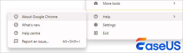 Informazioni su Google Chrome
