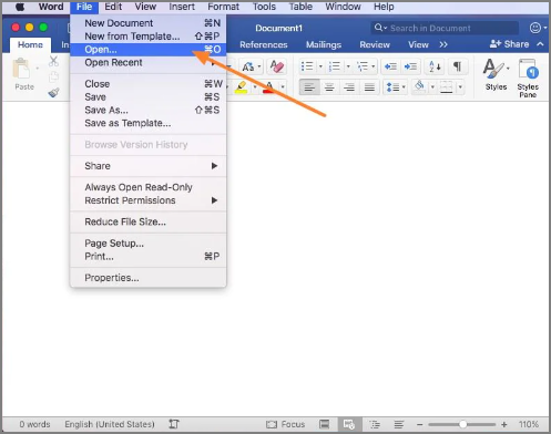 opzione aperta di accesso