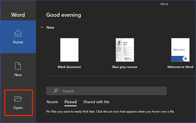 Klicken Sie auf die Option MS Word öffnen