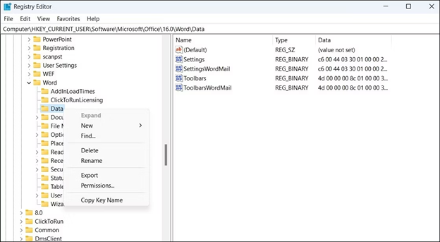 Word-Registrierungsschlüssel entfernen