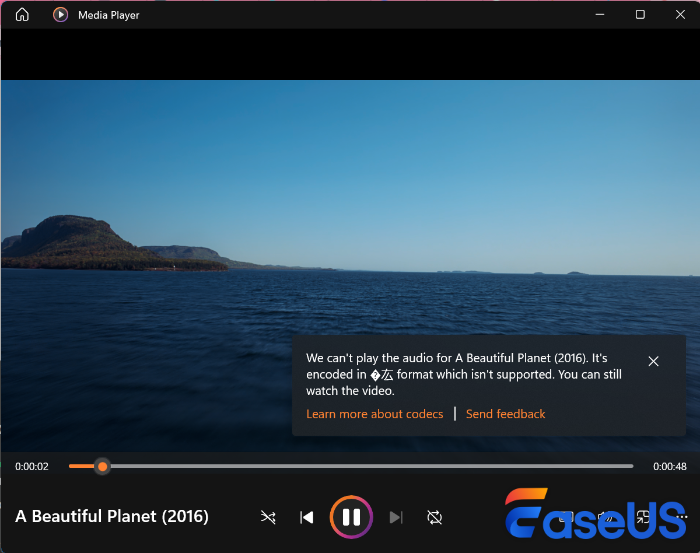 windows media player mkv no audio