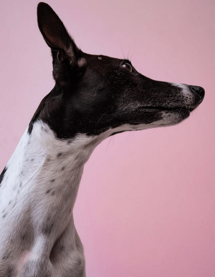 2023 | How to Edit SRT File on Windows/Mac/Online