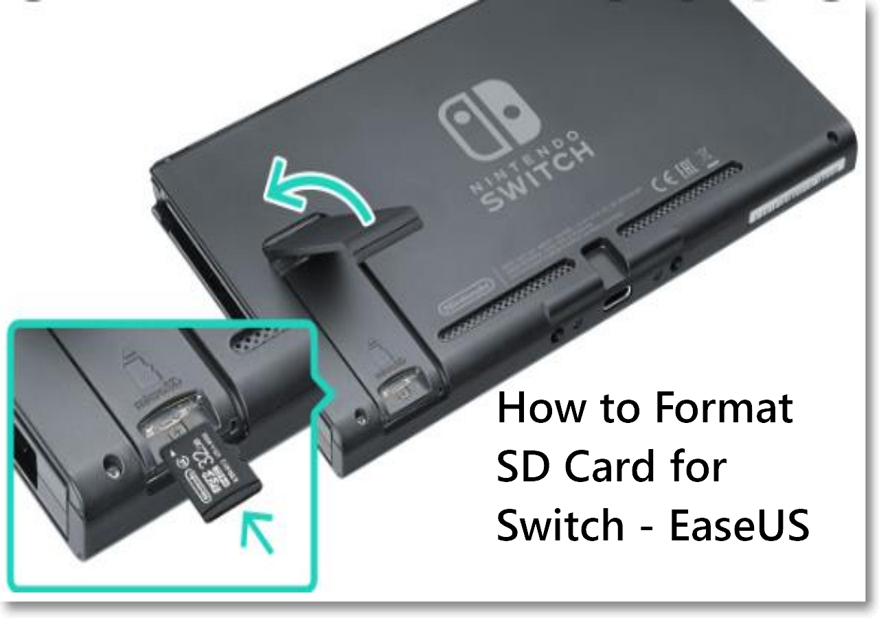 Tredje Moderat Reduktion How to Format SD Card for Switch - EaseUS