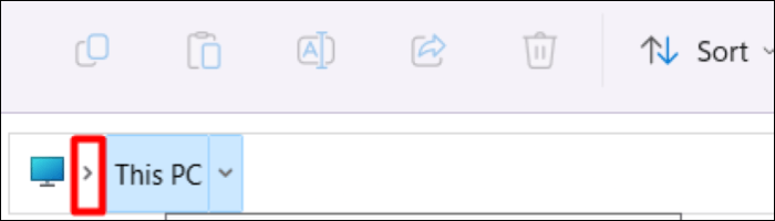 usando la barra de direcciones paso 2