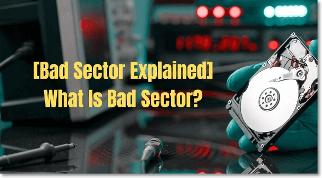 qué es el sector malo
