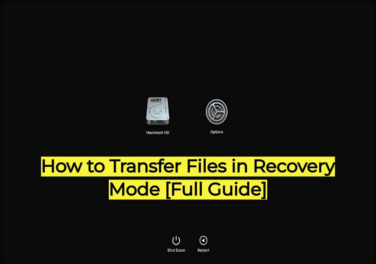 How to Transfer Files in Recovery Mode on a Mac