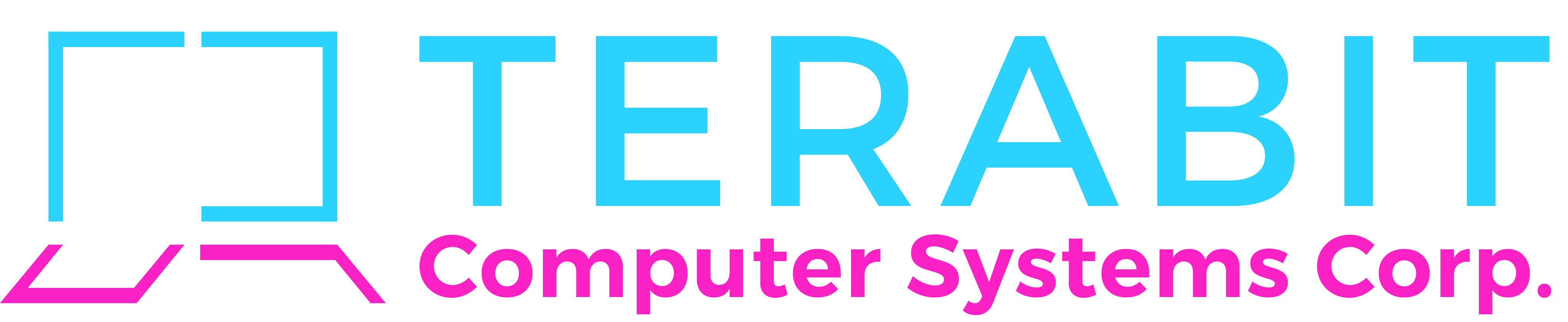 Terabit Computer Systems Corp.