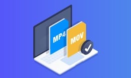 Repair Corrupted MP4 and MOV File