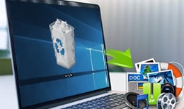 Recover Deleted Recycle Bin Files