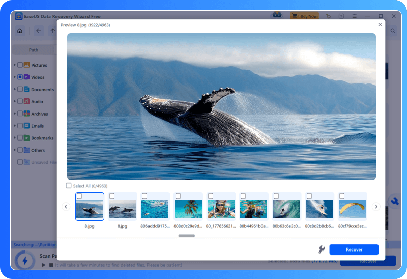 preview and recover data
