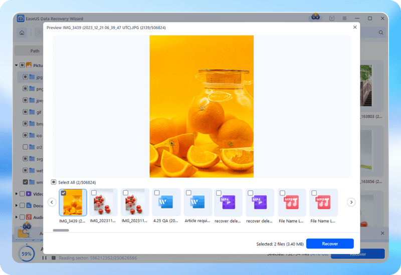 preview and recover data